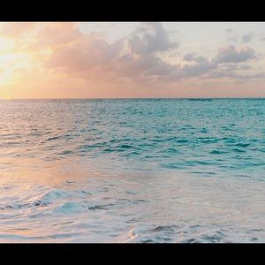 Meet your Posher, Acadia